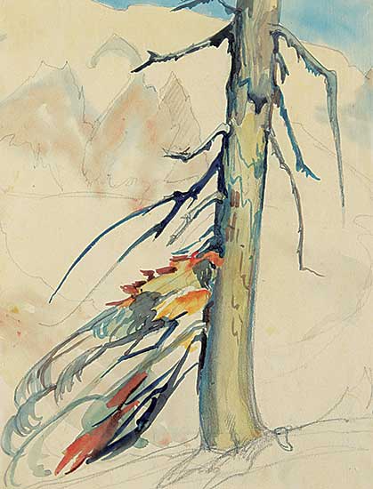 #1411 ~ Uhthoff - Untitled - Tree Study