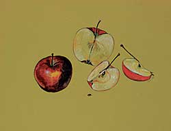 #1142 ~ Fran - Untitled - Apples