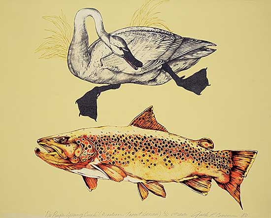 #422 ~ Cowin - De Puy's Spring Creek [Western Trout Series]  #2/10 Second State