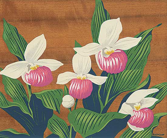 #1041 ~ Casson - Untitled - Orchids