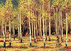 #1166 ~ Lindstrom - Untitled - Poplar Groves