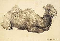 #1235 ~ Palmer - Untitled - Camel