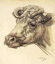 #1237 ~ Palmer - Untitled - Profile of a Cow with Horns