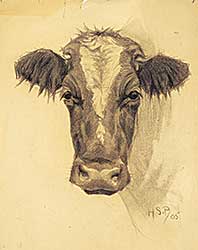 #1238 ~ Palmer - Untitled - Front Facing Cow