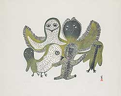#1136 ~ Qinnuayuak - Birds I Know  #10/50