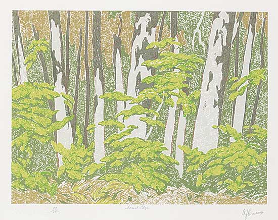 #29 ~ Casson - Forest Edge  #83/150