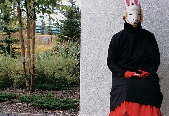 #256 ~ Todd - Untitled - Wrapped Trees and Bunny Mask