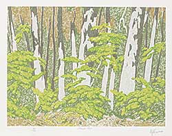 #29 ~ Casson - Forest Edge  #83/150