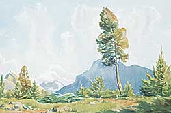 #537 ~ Shelton - Tree in Banff Campground, Mt. Rundle