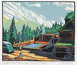 #544 ~ Shelton - Upper Hot Springs Banff  #73/200