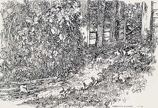 #2117 ~ Evans - Untitled - Tangled Garden Creek