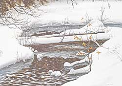 #2302 ~ Reid - Untitled - Winter Creek