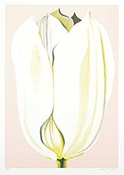 #2032 ~ Nesbitt - Untitled - White Tulip  #129/200
