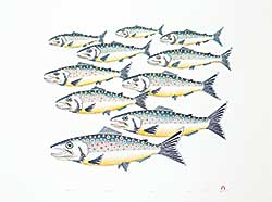 #2180 ~ Pudlat - Migrating Fish  #21/50