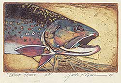 #421 ~ Cowin - Brook Trout  #A.P.