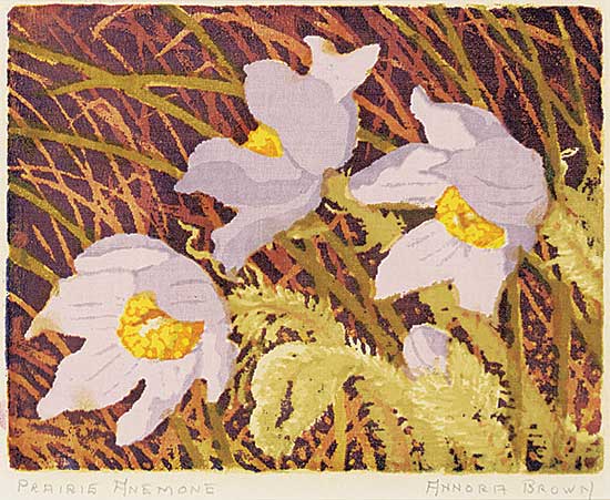 #1045 ~ Brown - Prairie Anemone