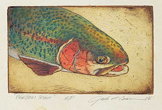 #1071 ~ Cowin - Rainbow Trout  #A.P.