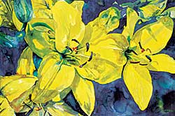 #1013 ~ Barnson - Yellow Lillies