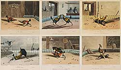 #1102 ~ Fielding - Six Cockfighting Prints