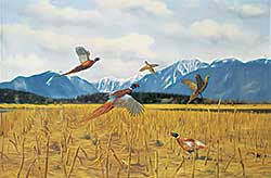 #1177 ~ Kelly - Cornfield Pheasants