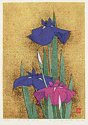 #1359 ~ Sugiura - Untitled - Violet and Magenta Flowers  #91/95