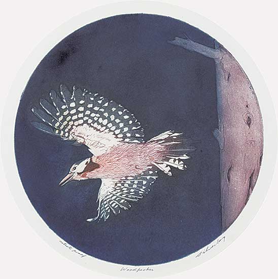 #843 ~ Silverberg - Woodpecker  #Artist's Proof