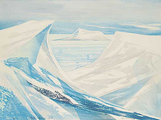 #869 ~ Swartzman - Arctic Series XIV  #6/60