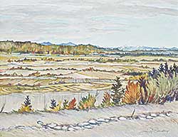 #627 ~ Burdeny - Untitled - Prairie Landscape