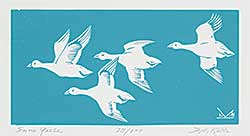 #728 ~ Kerr - Snow Geese  #25/100