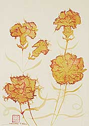 #730 ~ Khu - Carnations