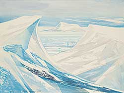 #869 ~ Swartzman - Arctic Series XIV  #6/60