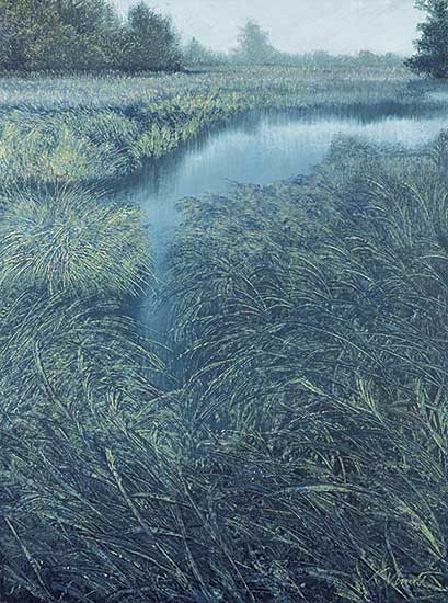 #503 ~ Vincent - Wetlands