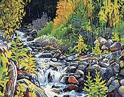 #22 ~ Burrow - Bow River Tributary