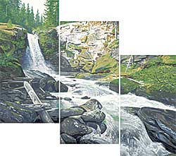 #408 ~ Birch - Sutherland Falls [Triptych]