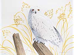 #2089 ~ Fehr - Snowy Owl  #10/85