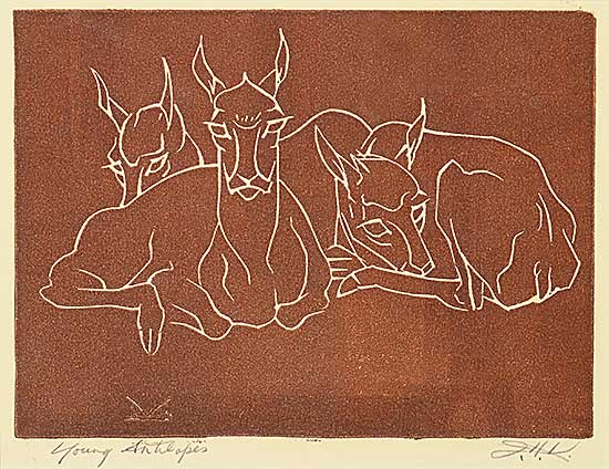 #1168 ~ Kerr - Young Antelopes