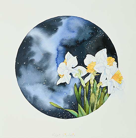 #469.1 ~ Sinclair - Untitled - Night Bloom