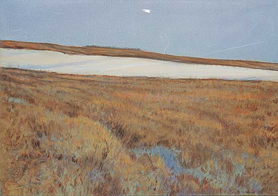#2051 ~ Barry - Untitled - Prairie Landscape