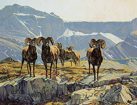 #2248 ~ Metz - Untitled - Bighorn Sheep on Bluff