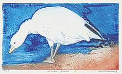#2351 ~ Silverberg - Snow Goose  #9/50